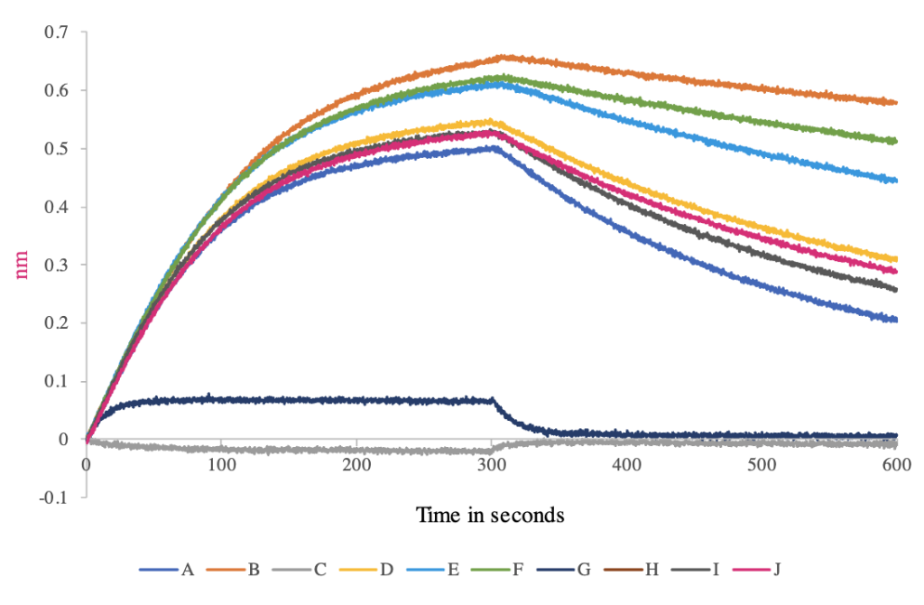 Antibody Affinity