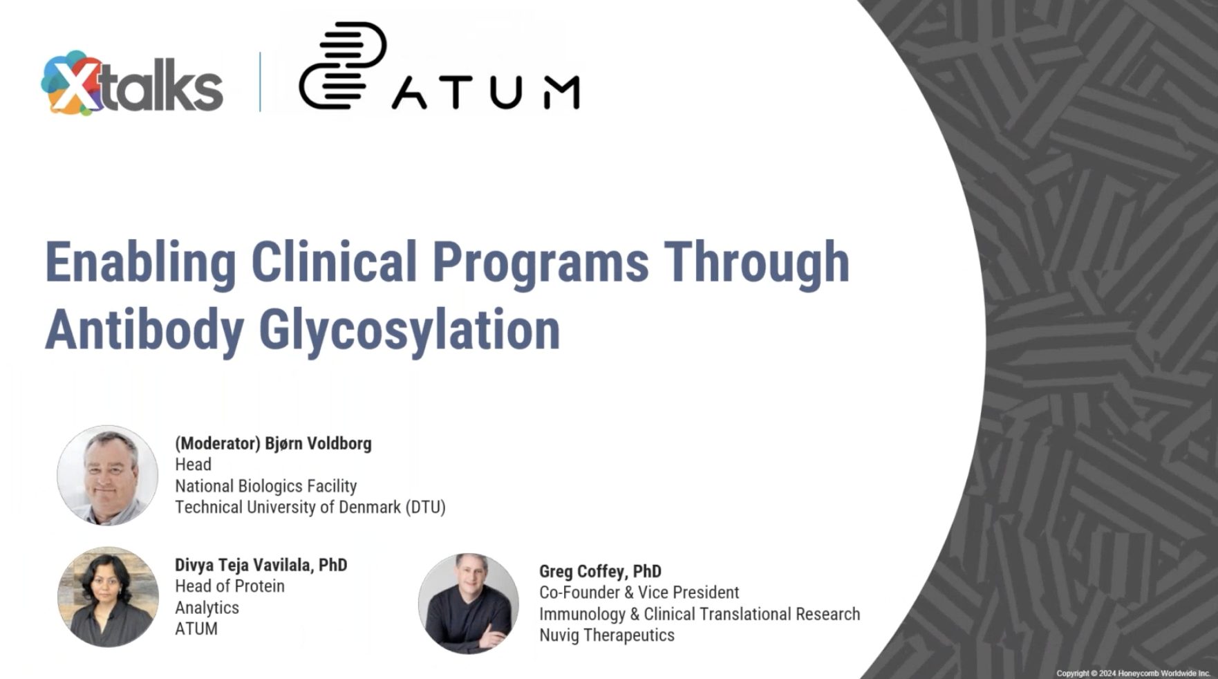 Enabling Clinical Programs Through Antibody Glycosylation